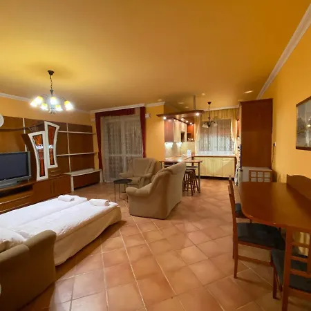 Sahin Apartman Apartment